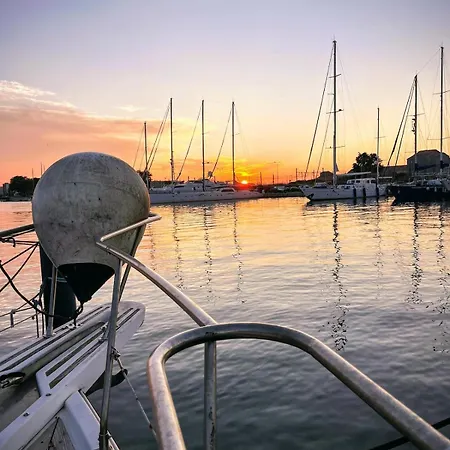 Carios - Yacht A Quai 塞特港